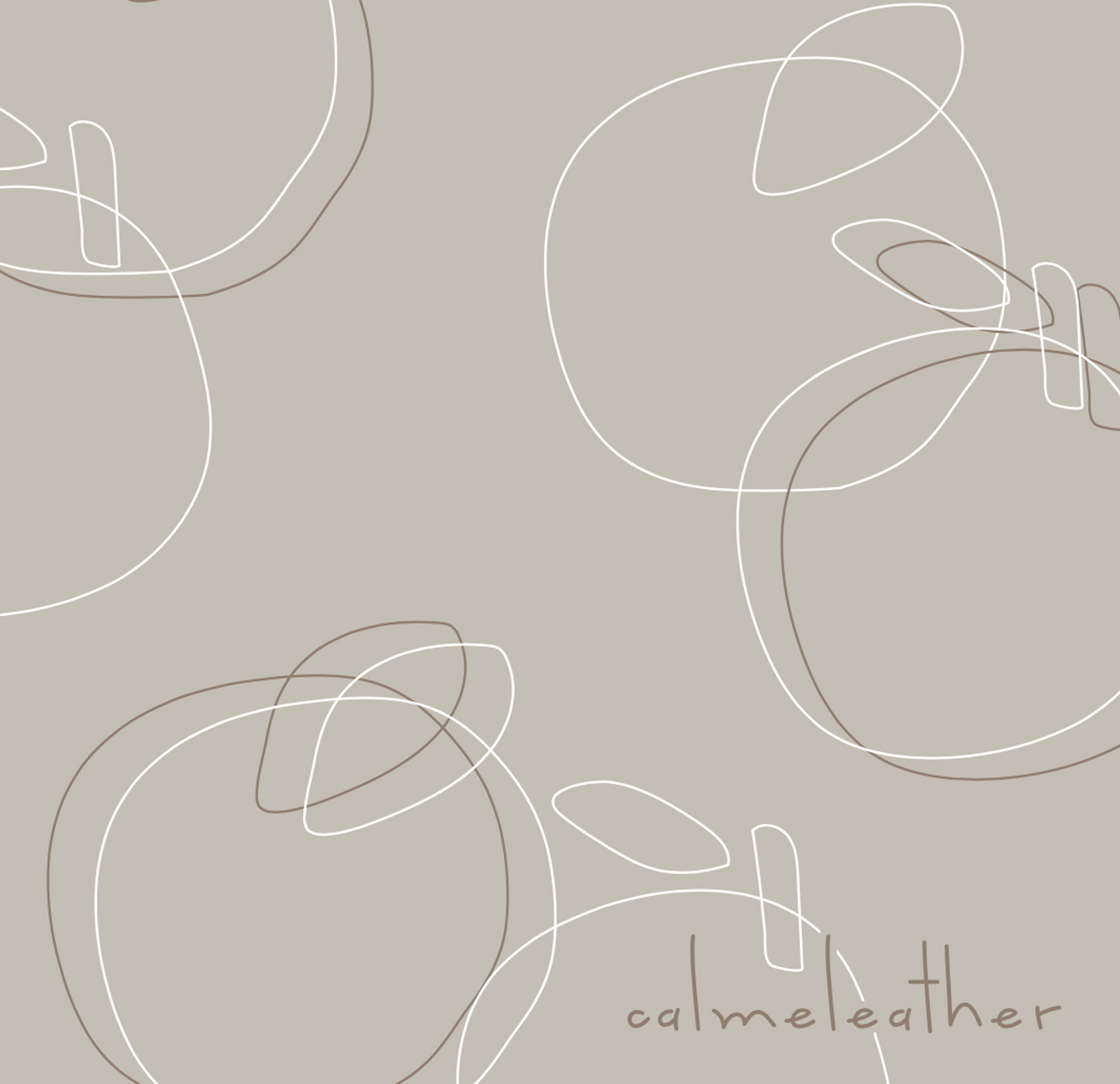 ナチュラルデザインのメガネ拭き <クロスファイバー>