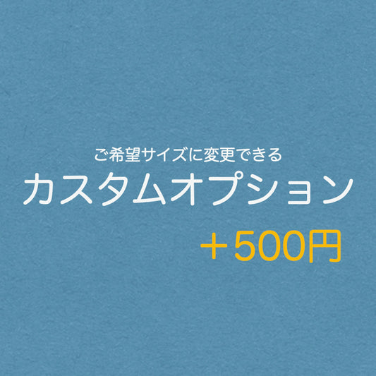 ┈　カスタムオプション　┈